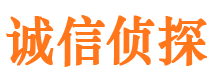 富拉尔基侦探公司